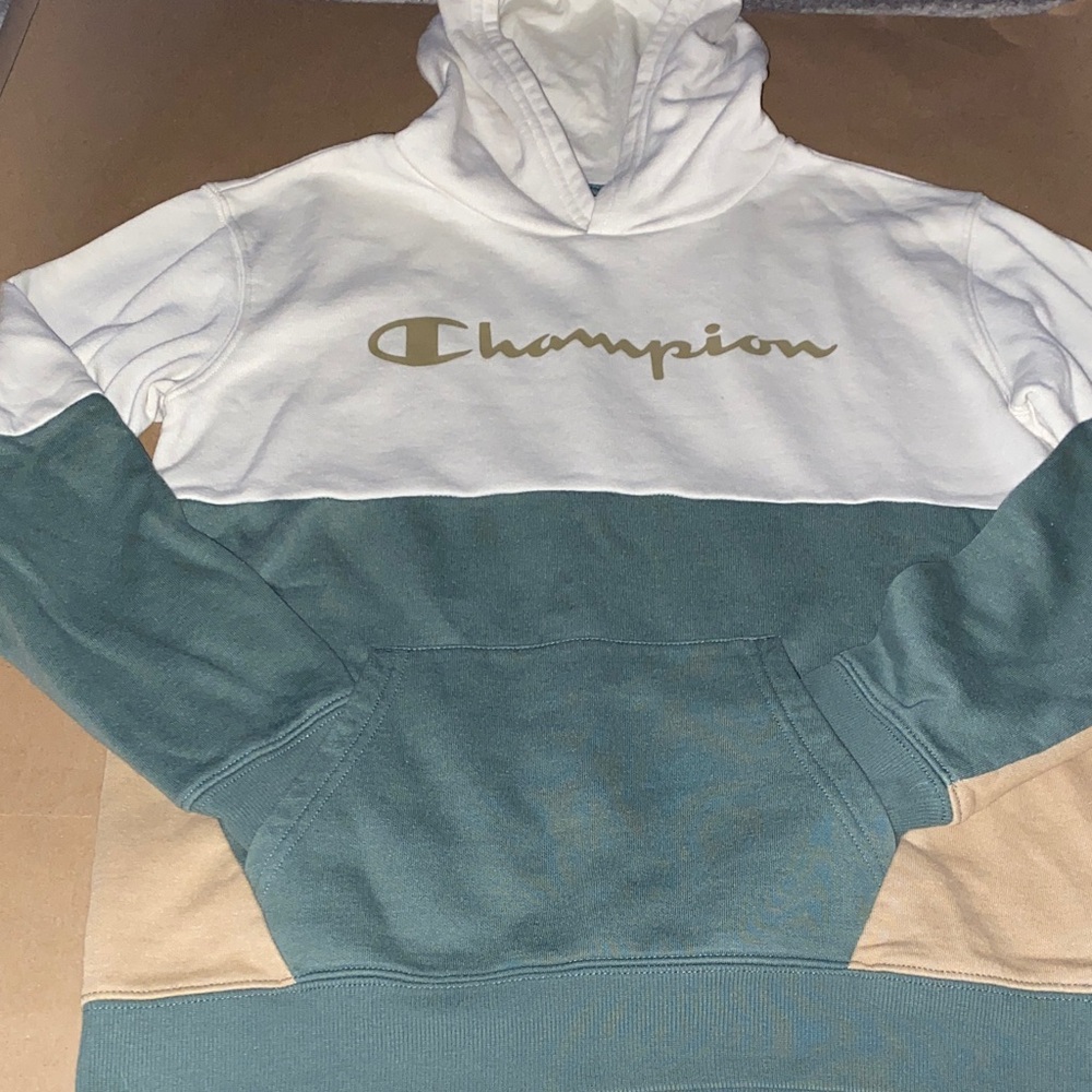 Champion White and Green Hoodie